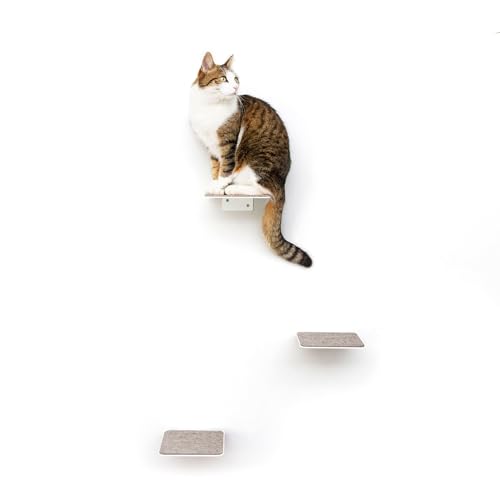 LucyBalu® Steps XL Katzentreppe Wand Innen & Außen 3er Set | Katzen Kletterwand | Wandpark für Katzen bis 10kg | Katzenleiter | Anti-Rutsch Beschichtung | 3 Stufen | Wandbefestigung | 24 x 20 cm Weiß von LucyBalu