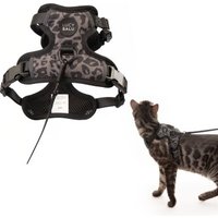 LucyBalu EXPLORER Katzengeschirr leo M-L LucyBalu EXPLORER Katzengeschirr leo M-L von LucyBalu