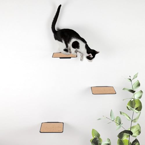 LucyBalu® STEPS Katzentreppe Wand Innen & Außen 3er Set | Katzen Kletterwand | Wandpark für Katzen bis 7kg | Katzenleiter | Anti-Rutsch Beschichtung | 3 Stufen | Wandbefestigung | 18 x 18 cm Anthrazit von LucyBalu