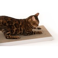 LucyBalu SCRATCHPAPER Katzen Kratzpappe weiß von LucyBalu