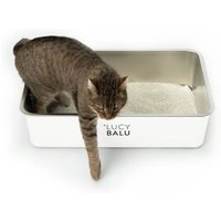 LucyBalu STEELOO Katzentoilette weiß von LucyBalu