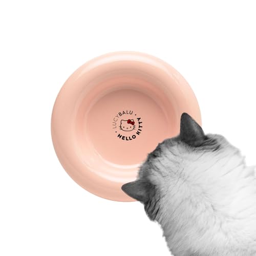 LucyBalu X Hello Kitty Drop Katzennapf aus Porzellan | erhöhter Katzen Futternapf | Wassernapf für Katzen | Porzellan Fressnapf erhöht | Trinknapf Katze | ergonomischer Katzenfutter Napf | Rosa von LucyBalu