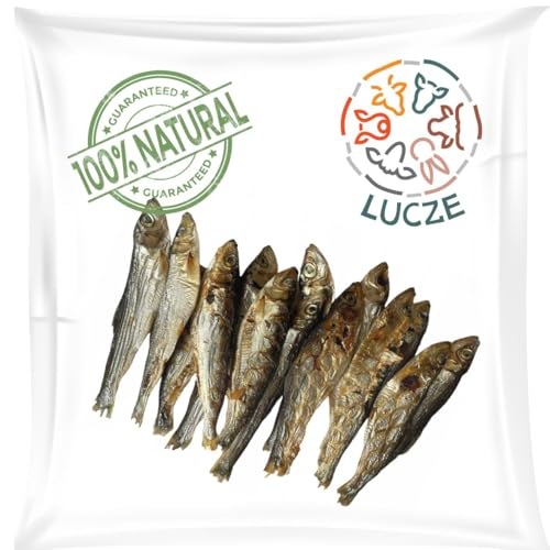 Sprotten für Hunde getrocknet - Sprotten für Katze - 9-10cm - Trockenfisch Leckerli - gesunde und hochwertige Naturkauartikel - Lucze Premium Leckerlis von Lucze