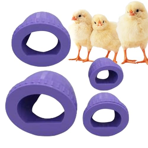 Lueear Geflügel-Futterstation, regenfest, Wachtel-Küken-Futterstation, leicht zu reinigen, Wachtelfütterungswerkzeug, Outdoor-Stallzubehör für Küken, Gänse, Vögel Lueear Geflügel-Futterstation, regenfest, Wachtel-Küken-Futterstation, leicht zu reinigen, Wachtelfütterungswerkzeug, Outdoor-Stallzubehör für Küken, Gänse, Vögel von Lueear