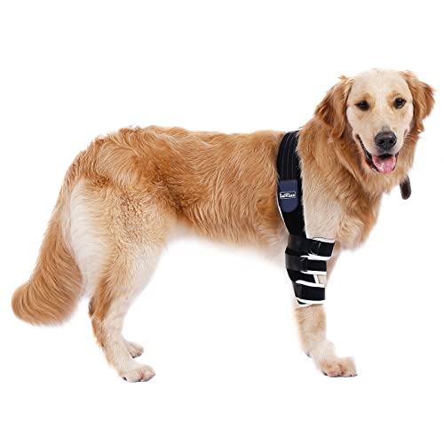 LufeLux Ellenbogenschutz für Hunde, gepolsterte Ellenbogenbandage für Hunde, Schulterstütze Schutz für Hornhaut, Hygroma, Dysplasie, Arthritis, Arthrose, nach Operationen, vermeiden Sie Schadekegel von LufeLux