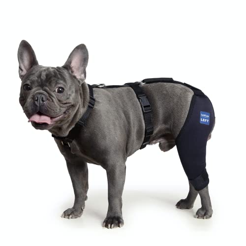 LufeLux Hunde-Kniebandage mit Geschirr und Verbindungsgurt, leicht und dehnbar, Luxating Patella, reduziert Arthritis Schmerzen und Entzündungen (XXX-Small) von LufeLux