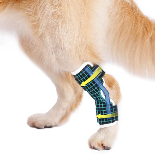 LufeLux Hundebeinbandagen für Rückenbein mit drei Metallfedereinsätzen, Dog Hock Joint Brace für Hinterbein, Hockschiene für Hunde mit Brüchen, Verstauchungen und Hundearthritis (X-Large) von LufeLux