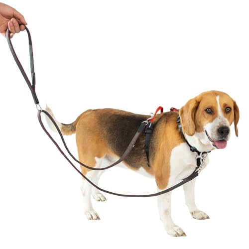 LufeLux Hundegeschirr ohne Ziehen, mit Zwei-Punkte-Kontrolle, Halsschnalle, D-Ringe, 6-Punkte-Einstellung, einfaches Gehen und Training, Leine mit 2 Clips (Harness-Leash-Set, XS) von LufeLux