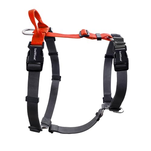 LufeLux Easy Walk Freedom Hundegeschirr, kein Ziehen, Kontrollgriff, Halsschnalle, Sechs-Punkte-Anpassung für bequeme Passform, zwei Aluminium-D-Ringe für Vorder- und Rücken-Clip, Orange/Schwarz, XS von LufeLux