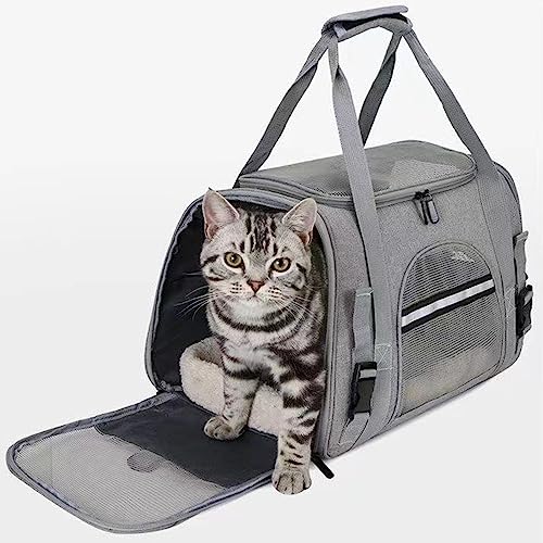 Lufodon Tragbare, atmungsaktive Transportbox für Haustiere, Bequeme Reisetasche mit verstellbarem Schultergurt für Katzen und Hunde, ideal für von der Fluggesellschaft zugelassene (Blue) von Lufodon