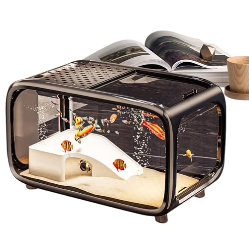 Luieonm Kleines Aquarium | Desktop Fischschale Schildkröte Tank mit Kletterdekor | Acryl Wassertiere Behälter Schüssel für Betta Schildkröte Schnecken Wasserpflanzen Luieonm Kleines Aquarium | Desktop Fischschale Schildkröte Tank mit Kletterdekor | Acryl Wassertiere Behälter Schüssel für Betta Schildkröte Schnecken Wasserpflanzen von Luieonm
