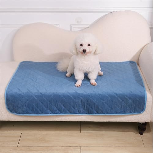 Lukery 2 Stück Wickelunterlage Waschbar für Hunde, Welpenunterlagen Wiederverwendbare Matten Trainingspads für Hunde Schnell Absorbierend für Autositz/Sofa (XL(100 * 70cm),Blau) von Lukery