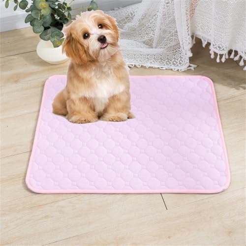 Lukery 2 Stück Wickelunterlage Waschbar für Hunde, Welpenunterlagen Wiederverwendbare Matten Trainingspads für Hunde Schnell Absorbierend für Laufstall/Autositz/Sofa (L(70 * 50cm),Hellrosa) von Lukery