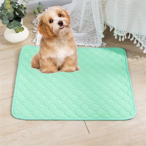 Lukery 2 Stück Wickelunterlage Waschbar für Hunde, Welpenunterlagen Wiederverwendbare Matten Trainingspads für Hunde Schnell Absorbierend für Laufstall/Autositz/Sofa (L(70 * 50cm),Mintgrün) von Lukery