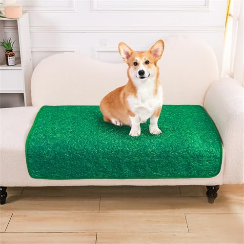 Lukery 2 Stück Wickelunterlage Waschbar für Hunde, Welpenunterlagen Wiederverwendbare Matten Trainingspads für Hunde Schnell Absorbierend für Laufstall/Autositz/Sofa (M(60 * 45cm),Grünland) von Lukery