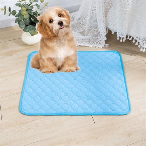 Lukery 2 Stück Wickelunterlage Waschbar für Hunde, Welpenunterlagen Wiederverwendbare Matten Trainingspads für Hunde Schnell Absorbierend für Laufstall/Autositz/Sofa (M(60 * 45cm),Himmelblau) von Lukery