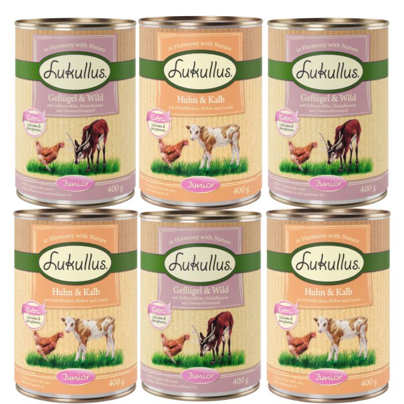 10 + 2 gratis! 12 x 400 g Sparpaket Lukullus Naturkost - Mixpaket 5 Junior (2 Sorten) von Lukullus