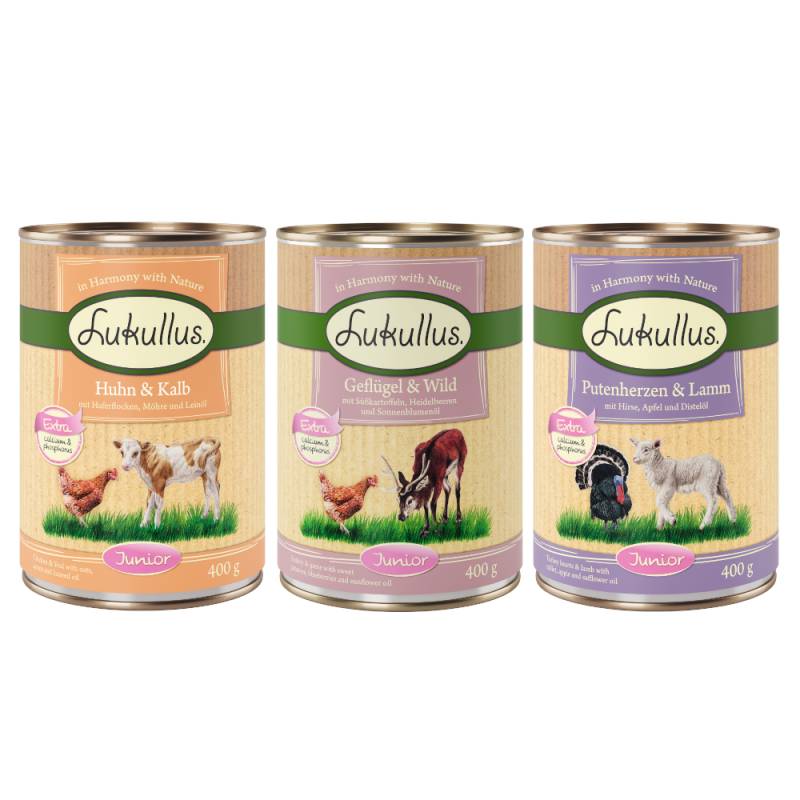 5 + 1 gratis! 6 x 400 g Lukullus Naturkost - Junior Mix 2 von Lukullus