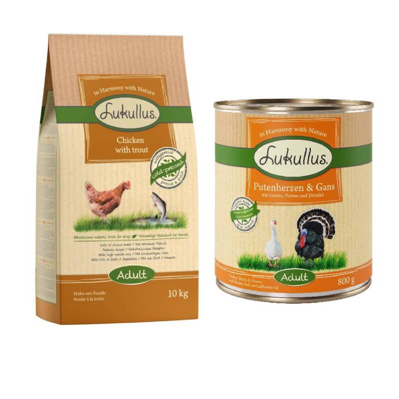 Lukullus Kaltgepresst Kombi-Paket: 10 kg Trockenfutter + 24 x 800 g Nassfutter - Adult Huhn & Forelle + Putenherzen & Gans von Lukullus