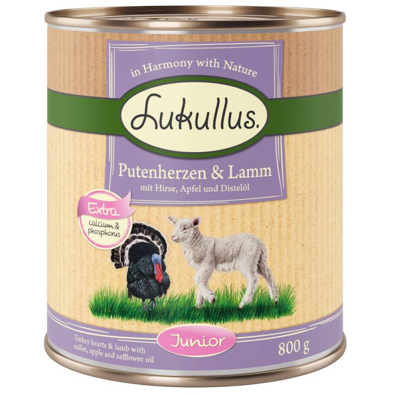 Lukullus Naturkost Junior 6 x 800 g Putenherzen & Lamm von Lukullus