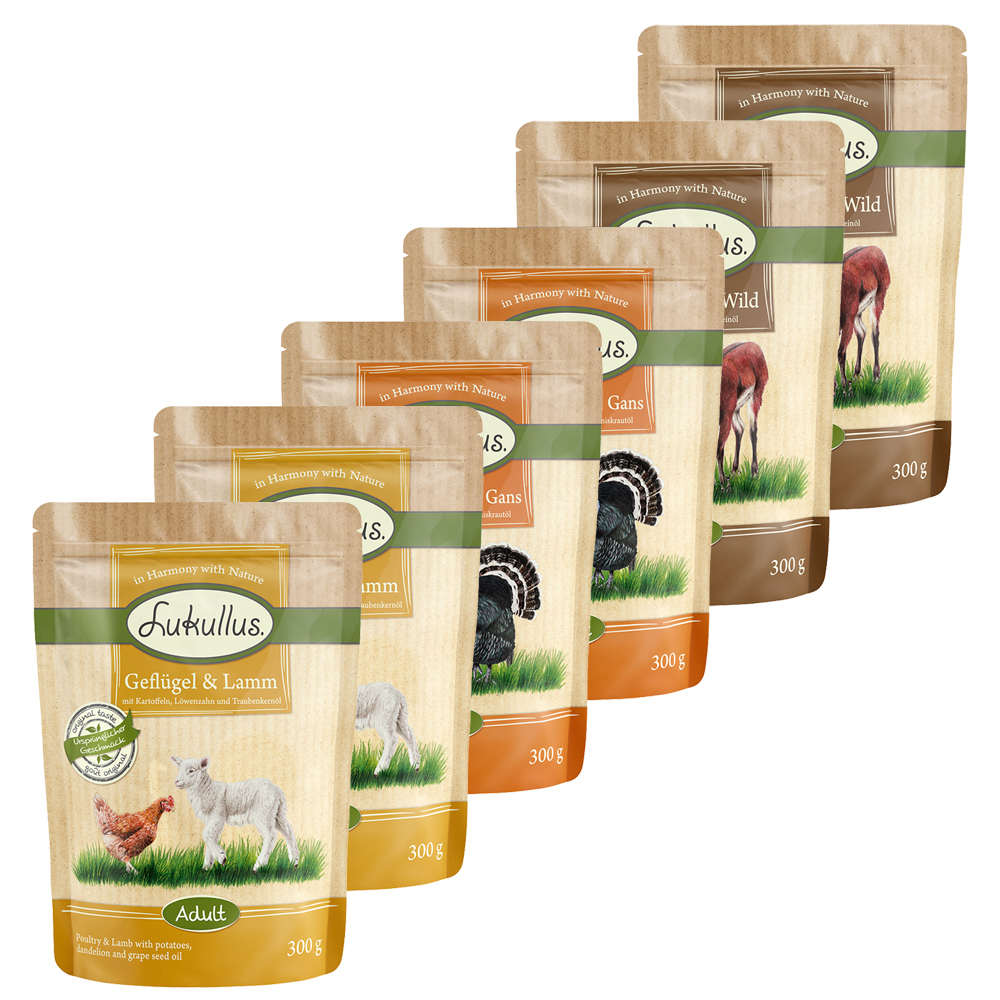 Sparpaket Lukullus Frischebeutel 24 x 300 g -  Mixpaket: Regional & Mediterran von Lukullus