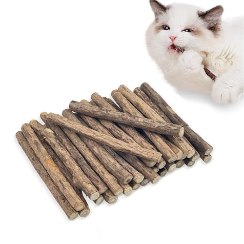 20 Stück Katzenminze Stick, Katzen Zahnpflege Sticks, Natürliches Katzenspielzeug, Katzen Zahnpflege Natur, Reduziert Zahnbeläge & Zahnstein, Matatabi-Kausticks, Katzenminze Sticks Zum Schleifen Zähne von Lulullaby