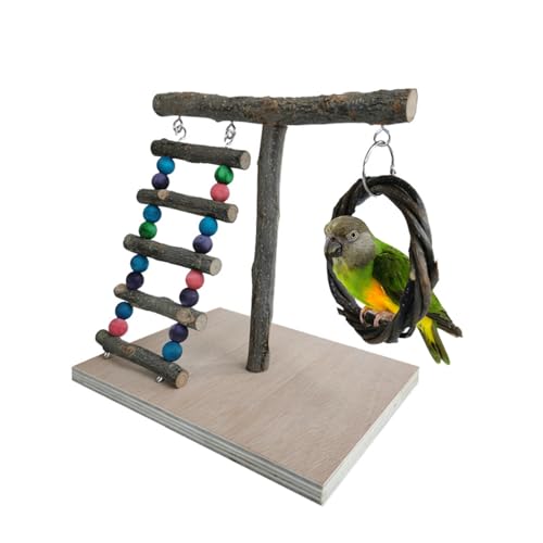 Vogel-Papageien-Spielständer Aus Holz, Vogelspielplatz, Papageien Spielplatz, Bird Playground, Vogelspielplatz Mit Leiter Und Schaukel, Vogel Spielplatz, Für Papageien, Wellensittiche, Sittiche, Finch von Lulullaby