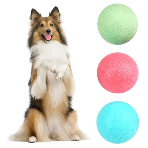 3 Stück Hundespielzeug Ball, Hundeball Unzerstörbar mit Einem Durchmesser von 4 cm, Unzerstörbarer Gummiball für Training, Hohe Qualität, Hohe Elastizität, Toss Ballspielzeug für Alle Hunderassen von LuminaryLair