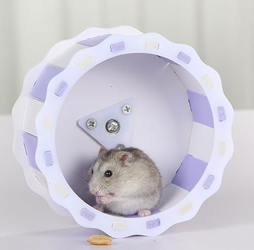 Hamsterrad,Kleintierspielzeug Laufrad Laufrad Hamster,Laufrad Hamster,Lautloses Hamsterrad,Hamsterrad Übungsrad Für Hamster,Für Chinchilla,Igel,Rennmäuse Und Andere Kleintiere von Luminexia