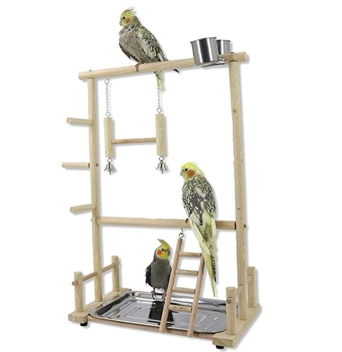 Papagei Spielplatz,Vögel Spielplatz,Stabilität Holz-Vogelspielständer Vögel Gym Vogelzubehör,Natürliches Massivholzmaterial,mit Feeder Cups Vogel Nymphensittich Spielzeug Übungsspiel von Luminexia