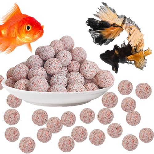 Bio Balls - Kleine Aquarium Filtermedien Bio Ball | Keramik Filterbälle | Fish Tank Bio Balls | 500 Aquarium Bio Balls Filtermedien | Aquarium Keramik Bio Filtermedien für Süßwasser und Meeresfische von Lumiscent