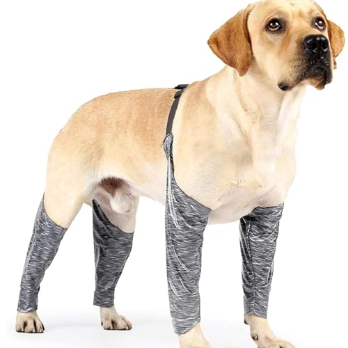 Hunde-Genesungsanzug, Anti-Leck-Hunde-Beinmanschetten, Verstellbarer Ellenbogenschutz, Paar Hunde-Beinbandagen, Hunde-Beinbandage, Hunde-Karpalstütze von Lumiscent