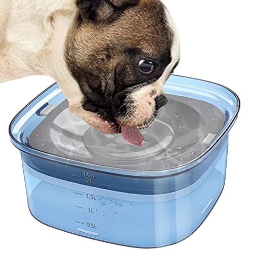 Hunde Wassernapf, ABS Anti Splash Hund Wassernapf Wassernapf mit Langsamer Wasserzufuhr Anti Verschütten Haustier Wassernapf Reise Wassernapf für Hunde und Katzen Blau von Lumiscent