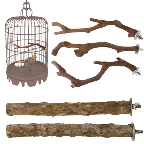 Vogelsitzstangen für Käfig – Vogelsitzstangen für Papageien | 5 x Vogel-Sitzstangen | natürliche Holz-Sitzstange für Übungstraining | Papageienständer Käfigzubehör für Papageien, Sittiche, Lovebirds von Lumiscent