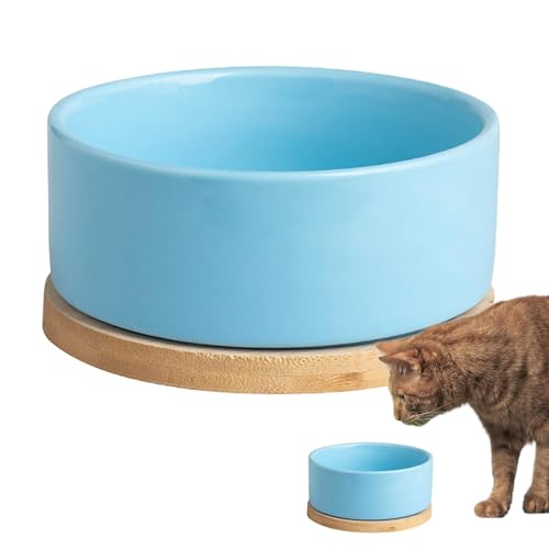 Beheizter Wasserspender – beheizter Hundenapf, Katzen-Winter-Hundenapf | Pets Keramik-Heiznapf mit multifunktionalen beheizten Katzennäpfen für den Außenbereich für Hunde, Wildkatzen, Hühner und Vögel von Lunaobrik