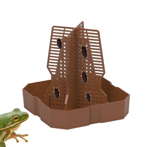 Lunaobrik Futterschale für Reptilien, Frog Food Bowl, Kletterteller für Kleintiere, Nicht rutschende Reptilien-Fütterungsschalen mit -Leiter Lunaobrik Futterschale für Reptilien, Frog Food Bowl, Kletterteller für Kleintiere, Nicht rutschende Reptilien-Fütterungsschalen mit -Leiter von Lunaobrik