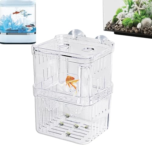 Zuchtbox Für Aquarium - Aquarium-Teiler-Akklimatisierungsbox Für Aggressive Fische, Acryl-Aquarium-Brutkasten Für Jungfische | Garnelen, Kampffische Und Guppys, Kampffische Und Guppys von Lunaobrik