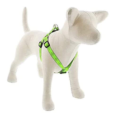 3/4x20-30GD Dog Harness -48145 von LupinePet