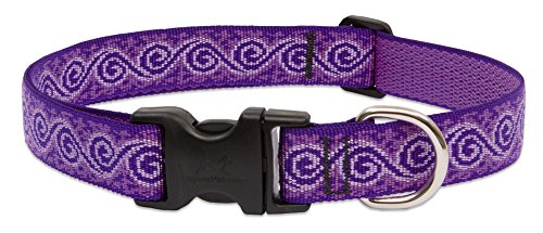 Lupine 2,5 cm Jelly Roll verstellbares Hundehalsband für mittelgroße und große Hunde von LupinePet