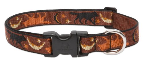 Lupine 2,5 cm Shadow Hunter verstellbare Hundehalsband für mittelgroße und große Hunde von LupinePet