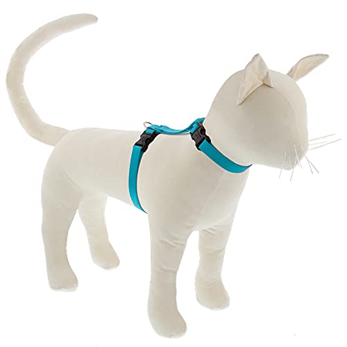 Lupine Hundegeschirr für Katzen und kleine Haustiere, H-Stil, 1,27 cm breit, 30,5 cm bis 50,8 cm verstellbarer Umfang, Aquamarin von LupinePet