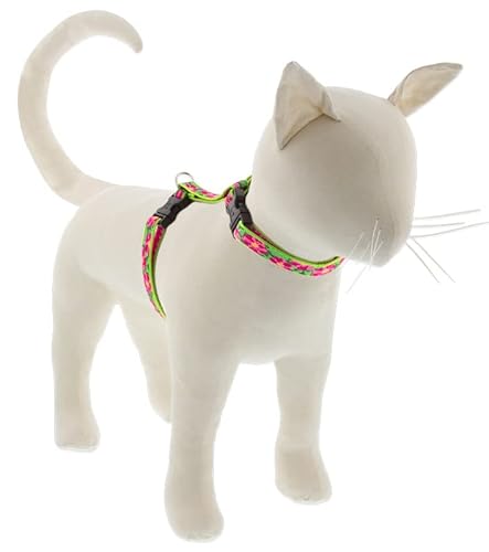 Lupine Hundegeschirr für Katzen und kleine Haustiere, H-Stil, 1,27 cm breit, Petunien mit 30,5 cm bis 50,8 cm verstellbarem Umfang von LupinePet