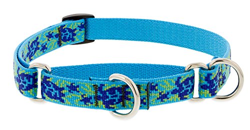 Lupine Pet Originals Schildkrötenriff, Martingalhalsband, 1,9 cm, für kleine und mittelgroße Hunde von LupinePet