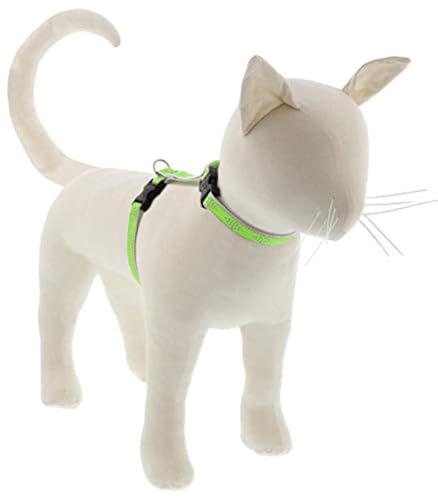 Lupine Reflektierendes Geschirr für Katzen und kleine Haustiere, H-Stil, 1,27 cm breit, grüner Diamant mit 22,9 cm bis 35,6 cm verstellbarem Umfang von LupinePet