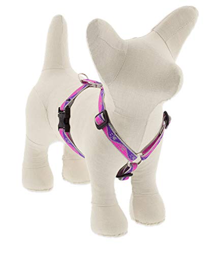 Lupine Reflektierendes Hundegeschirr, verstellbar, 1,27 cm breit, mit 22,9–35,6 cm Umfang, Pink von LupinePet