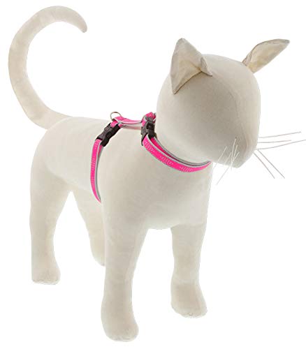 Lupine Reflektierendes Katzen- und Kleinhaustiergeschirr, H-Stil, 1,27 cm breit, mit verstellbarem Umfang von 22,9 cm bis 35,6 cm, Pink Diamond von LupinePet