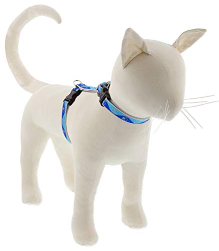 Lupine Reflektierendes Katzen- und Kleintiergeschirr, H-Stil, 1,27 cm breit, Pfotenabdrücke, verstellbarer Umfang von 30,5 bis 50,8 cm, Blau von LupinePet