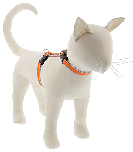 Lupine Reflektierendes Katzen- und Kleintiergeschirr, H-Stil, 1,27 cm breit, orangefarbener Diamant, mit 22,9 cm bis 35,6 cm verstellbarem Umfang von LupinePet