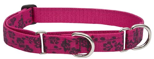LupinePet Originals 1" Plum Blossom 15-22" Martingale Collar for Medium and Larger Dogs von LupinePet