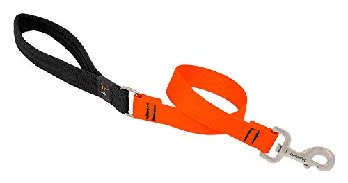 lupinepet Basics 2,5 cm Blaze Orange LEASHES für mittlere und größere Hunde, blaze orange von LupinePet